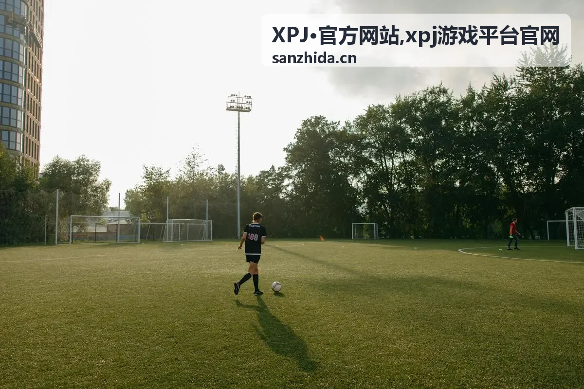 XPJ官方网站内容导航与使用说明